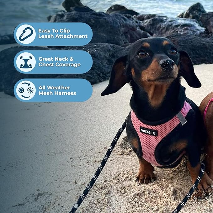 Voyager Step-in Air Dog Harness - All Weather Mesh, Reflective, No Pull Harness for Small, Medium Dogs, Cats - Secure with Hook & Loop Fastener, Buckle, Double D-Rings - Pink/Black Trim, M