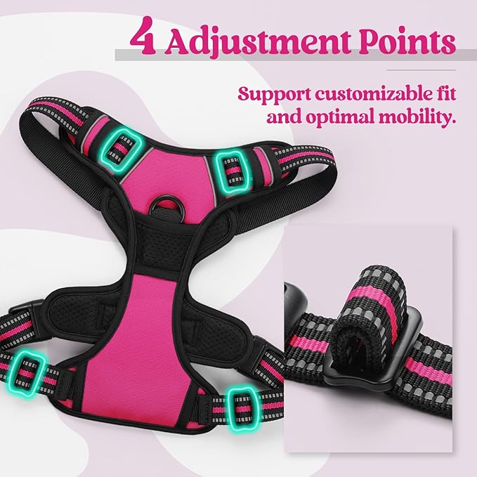 rabbitgoo Dog Harness, No-Pull Pet Harness with 2 Leash Clips, Adjustable Soft Padded Dog Vest, Reflective No-Choke Pet Oxford Vest with Easy Control Handle for Large Dogs, Hot Pink, XL