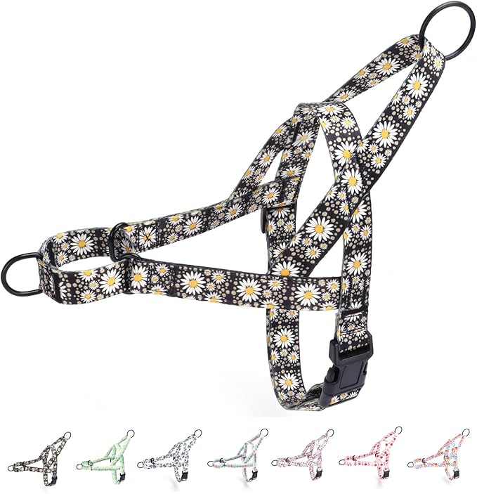 No Pull Dog Harness for Small, Medium, and Large Pets - Floral Pattern Nylon Safety Training Dog Harness (XS, Daisy)