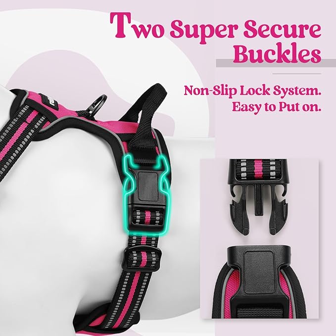 rabbitgoo Dog Harness, No-Pull Pet Harness with 2 Leash Clips, Adjustable Soft Padded Dog Vest, Reflective No-Choke Pet Oxford Vest with Easy Control Handle for Small Dogs, Hot Pink, S