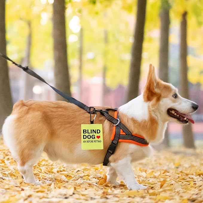 PWHAOO Blind Dog Ask Before Petting Alert Hang Tags for Dog Nervous Dog Hanging Dog Alert Patches Hanging Dog Tags (Blind Dog Alert)