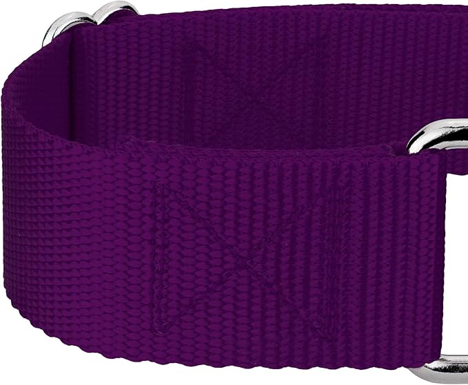 Country Brook Petz 1 1/2 Inch Martingale Heavy Duty Nylon Adjustable Dog Collar for Small, Medium, Large Breeds - Vibrant 17 Color Selection (Purple, Medium)