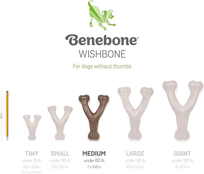 Benebone Indestructible Wishbone Dog Chew Toy for Aggressive Chewers, Long Lasting Tough Boredom Breaker for Dogs, Real Peanut Flavour, For Medium Dogs, Made in the USA.