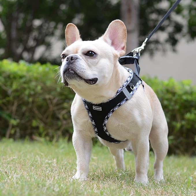 Mercano Soft Mesh Dog Harness and Leash Set, No-Chock Step-in Reflective Breathable Lightweight Easy Walk Escape Proof Vest Harnesses with Safety Buckle for Small Medium Dogs, Cats (Black White, XXS)