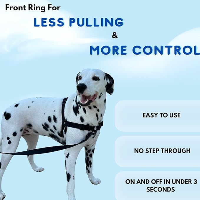ShawnCo Dream Walk No-Pull Dog Harness- Adjustable, Comfortable, Easy to Use Pet Halter to Help Stop Pulling for Small, Medium and Large Dogs (Rose Gold, L)