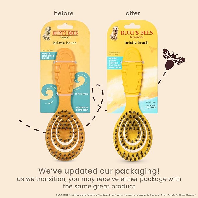 Burt's Bees for Pets Small Bristle Brush with Natural Boar’s Hair & Nylon | Handle Made from Recycled Plastics Collected from Coastal Communities | De-Shedding Eco Friendly Dog Grooming Brush