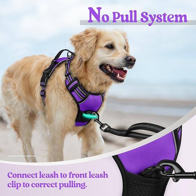 rabbitgoo Dog Harness, No-Pull Pet Harness with 2 Leash Clips, Adjustable Soft Padded Dog Vest, Reflective No-Choke Pet Oxford Vest with Easy Control Handle for Small Dogs, Purple, S