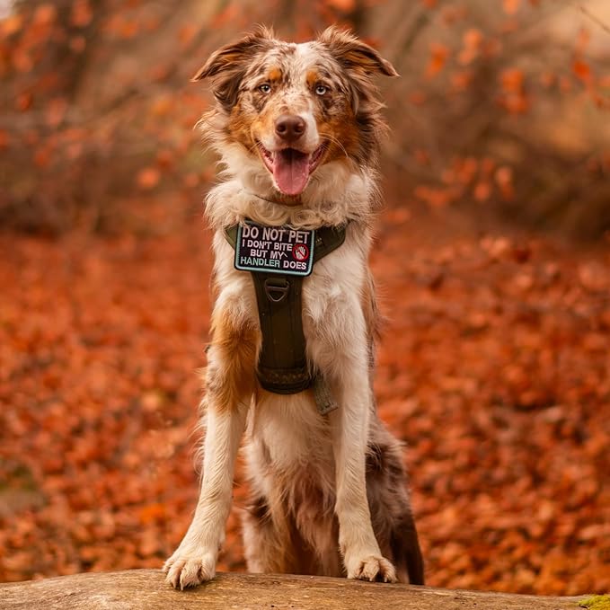 rabbitgoo Dog Harness Medium Sized No Pull, Tactical Service Dog Vest with Molle and Control Handle, Adjustable and Reflective Military Pet Harness for Easy Walking and Training, Red, M