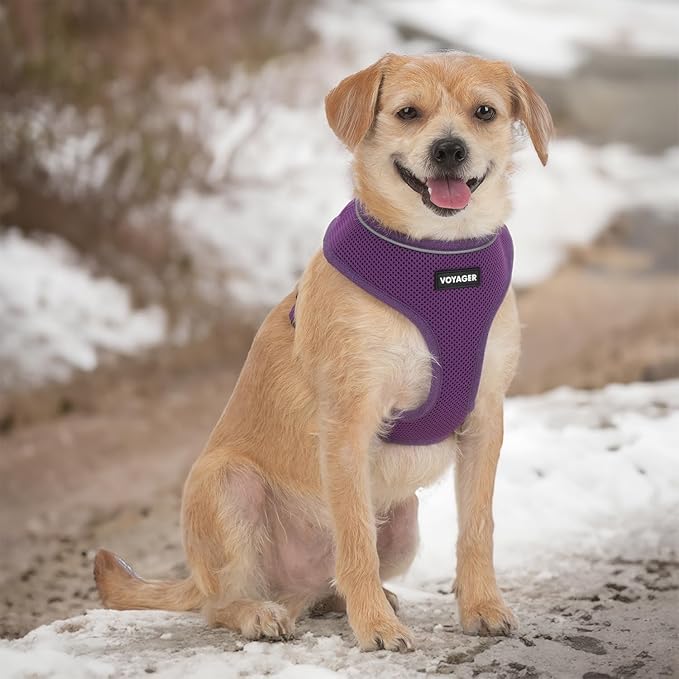 Voyager Aerolite No Pull Mesh Dog Harness with Lightweight, Soft, Breathable, Reflective Stitching, and Adjustable Straps for Walking, Running, Training, Heavy Duty and Durable - Purple, M
