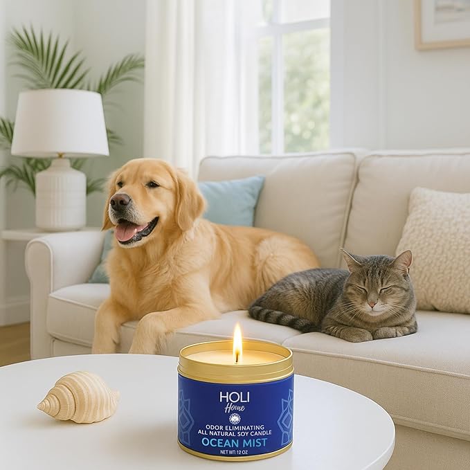 HOLI Pet Odor Eliminator Candle – Ocean Mist Scent – All Natural Soy Wax, Paraben & Phthalate Free, Pet Safe, Long-Lasting 60-Hour Burn, Non-Toxic & Plastic-Free Air Freshener for Home