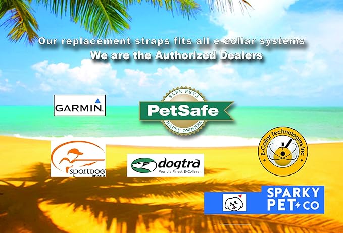 Sparky Pet Co - ECollar Replacement Strap - Bungee Dog Collar - Waterproof - Adjustable - Secure Nexus Wheel Lock - for Electronic Training & Invisible Fence Systems - 3/4" (Blue)