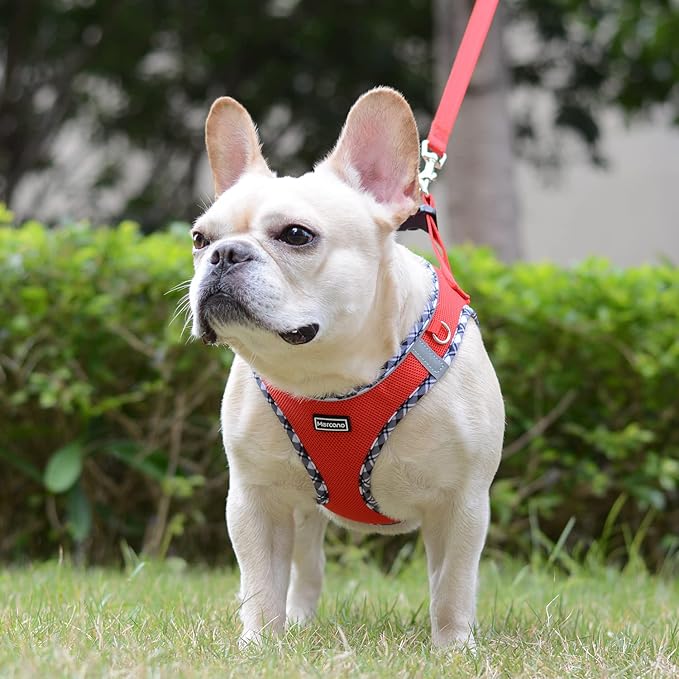 Mercano Soft Mesh Dog Harness and Leash Set, No-Chock Step-in Reflective Breathable Lightweight Easy Walk Escape Proof Vest Harnesses with Safety Buckle for Small Medium Dogs, Cats (Red, XS)