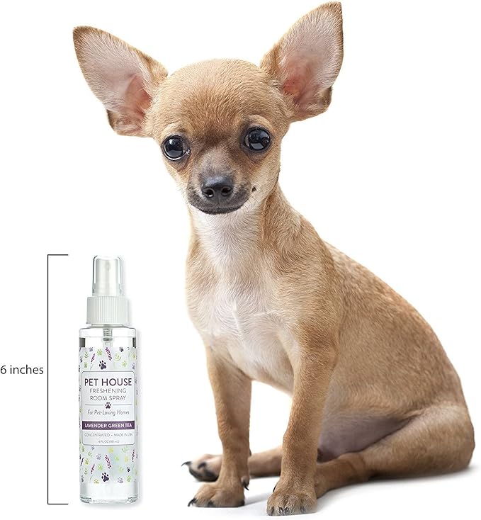 One Fur All Pet House Freshening Room Spray - Lavender Green Tea - Concentrated Air Freshener - Non-Toxic & Pet-Friendly Air Freshener - Pet Odor Eliminator Room Spray