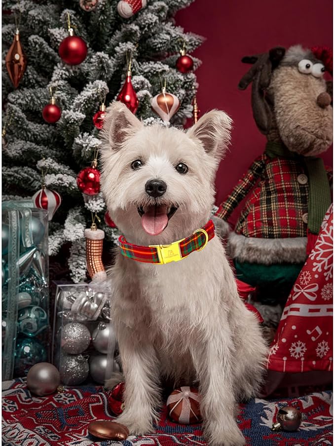 Lionheart glory Christmas Plaid Dog Collar, Dogs Collar Adjustable Soft and Comfortable Collars for Medium Dogs Girl or Boy Pet Gift Fall Collar Dog