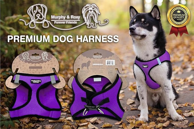 Murphy & Roxy No Pull Dog Harness for Extra Small Dogs - Heavy Duty Dog Harness with Reflective Trim - Adjustable Dog Vest Harness for Walking - Comfortable Dog Accessories for Dogs - Purple, Size XS