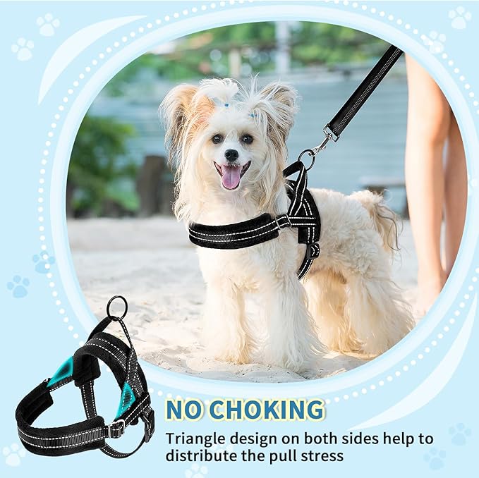 SlowTon No Pull Small Dog Harness and Leash Set, Puppy Soft Vest Harness Neck & Chest Adjustable, Reflective Lightweight Harness & Anti-Twist Pet Lead Combo for Small Medium Dogs(B,L)