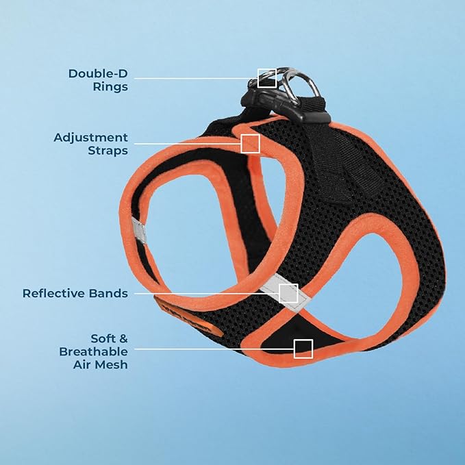 Voyager Step-in Air Dog Harness - All Weather Mesh, Reflective, No Pull Harness for Small, Medium Dogs, Cats - Secure with Hook & Loop Fastener, Buckle, Double D-Rings - Black/Orange Trim, L
