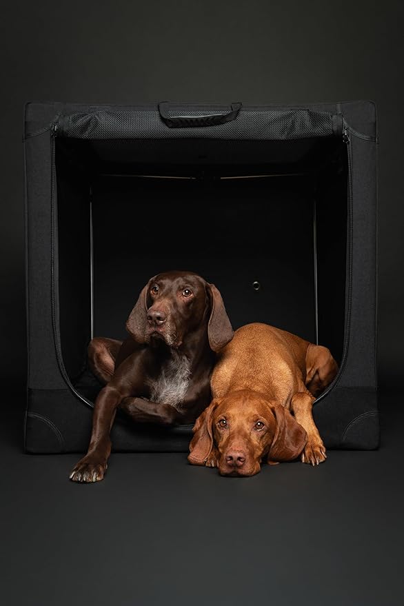 Noah & Paw Collapsible Dog Crate 36 Inches, XL Dog Crate for XL, Large Medium Breed, Travel Kennel for Car, Includes Pet Mat for Pet Cage, 2 Storage Pockets, Handbag, 10mm Locking Zippers 36*25*23
