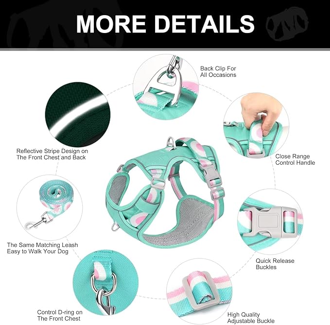 No Pull Dog Harness and Leash Set,Reflective Dog Harness with Easy Control Soft Handle,Adjustable and Comfortable for Easy Walking,Fit Small Medium Large Breed Dogs,Blue,M