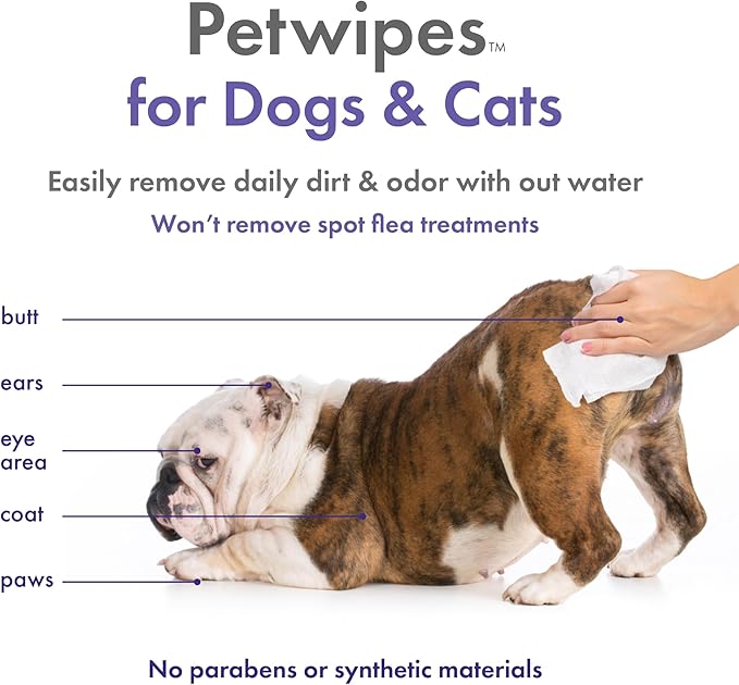 Petkin Plant-Based PetWipes, 200 Wipes - Biobased, Sustainable, Big & Thick Pet Wipes for Dogs & Cats - for Face, Paws, Ears, Body & Eye Area - Consciously Cleans & Conditions - Lavender