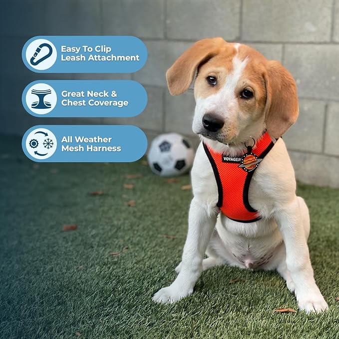 Voyager Step-in Air Dog Harness - All Weather Mesh, Reflective, No Pull Harness for Small, Medium Dogs, Cats - Secure with Hook & Loop Fastener, Buckle, Double D-Rings - Orange/Black Trim, S
