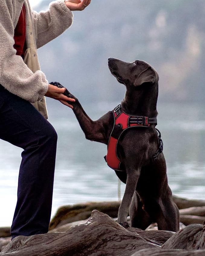 Joytale No Pull Dog Harness for Small Dogs, Reflective Pet Vest with Front Clip, Adjustable Soft Padded Harnesses with Easy Control Handle for Training and Walking, Red, S