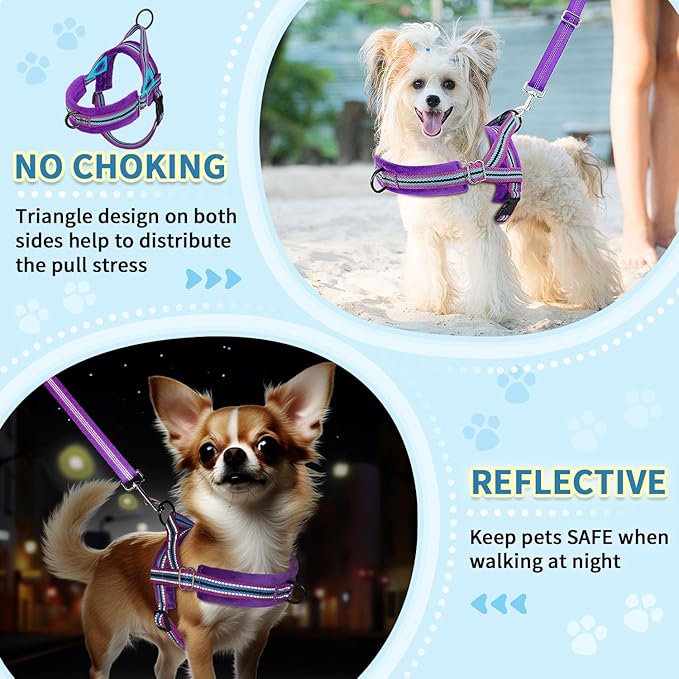 SlowTon No Pull Small Dog Harness and Leash Set, Puppy Soft Vest Harness Neck & Chest Adjustable, Reflective Lightweight Harness & Anti-Twist Pet Lead Combo for Small Medium Dogs (PU-Front Clip, XS)