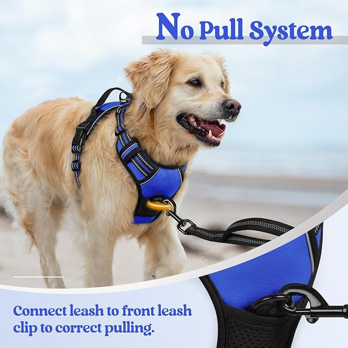 rabbitgoo Dog Harness, No-Pull Pet Harness with 2 Leash Clips, Adjustable Soft Padded Dog Vest, Reflective No-Choke Pet Oxford Vest with Easy Control Handle for Small Dogs, Dazzling Blue, S