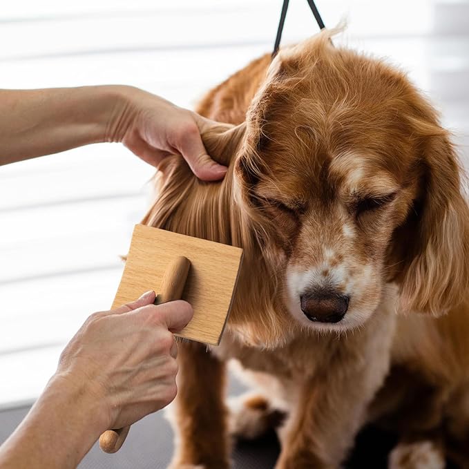 Long Pin Slicker Brush for Dogs (Goldendoodles, Labradoodles, Poodles) and Long Hair cat, Best Grooming Brush for Small Animals ,for Grooming Pet Hair, Beech Wood