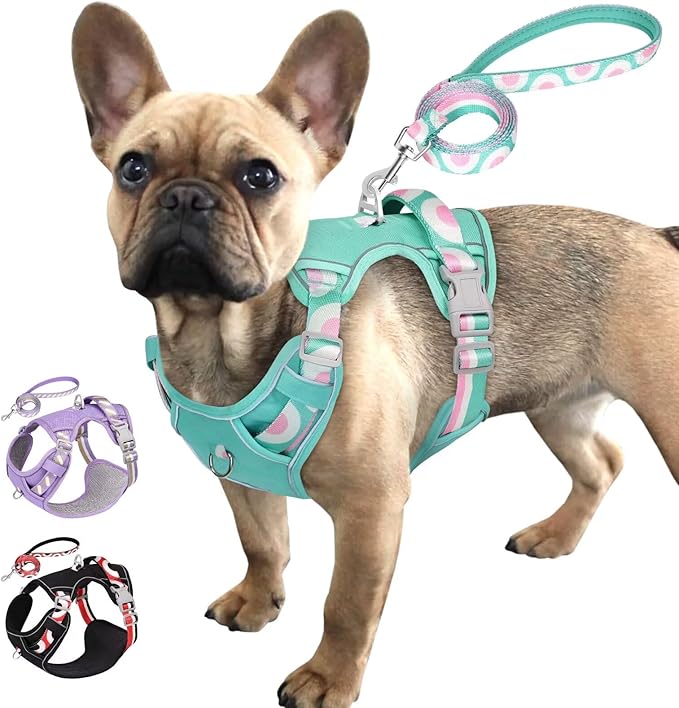 No Pull Dog Harness and Leash Set,Reflective Dog Harness with Easy Control Soft Handle,Adjustable and Comfortable for Easy Walking,Fit Small Medium Large Breed Dogs,Blue,L