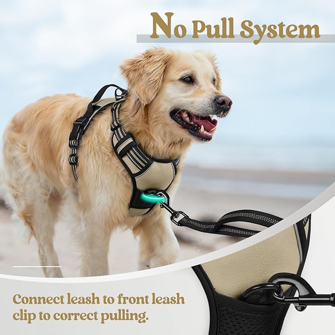 rabbitgoo Dog Harness, No-Pull Pet Harness with 2 Leash Clips, Adjustable Soft Padded Dog Vest, Reflective No-Choke Pet Oxford Vest with Easy Control Handle for Small Dogs, Beige, S
