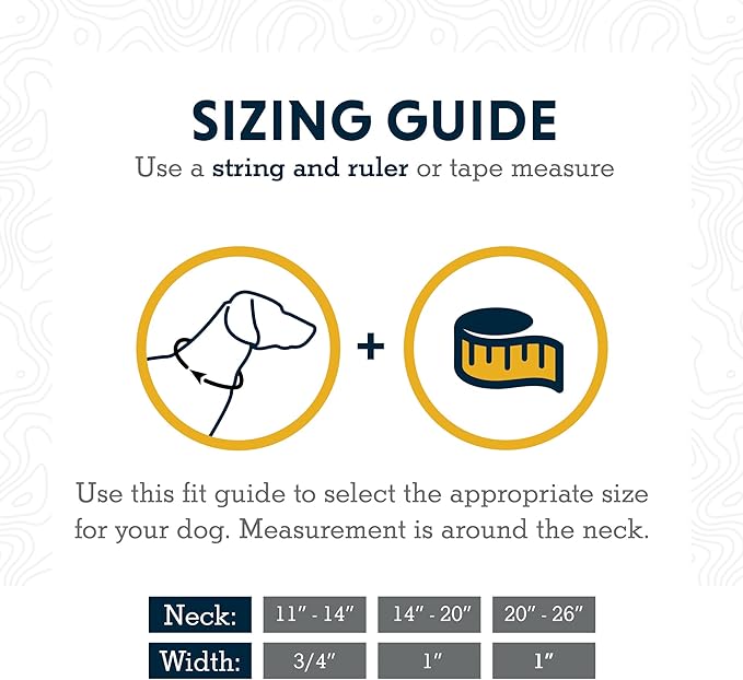 Ruffwear, Chain Reaction Dog Collar, Martingale Style for On-Leash Walking, Basalt Gray, 11"-14"