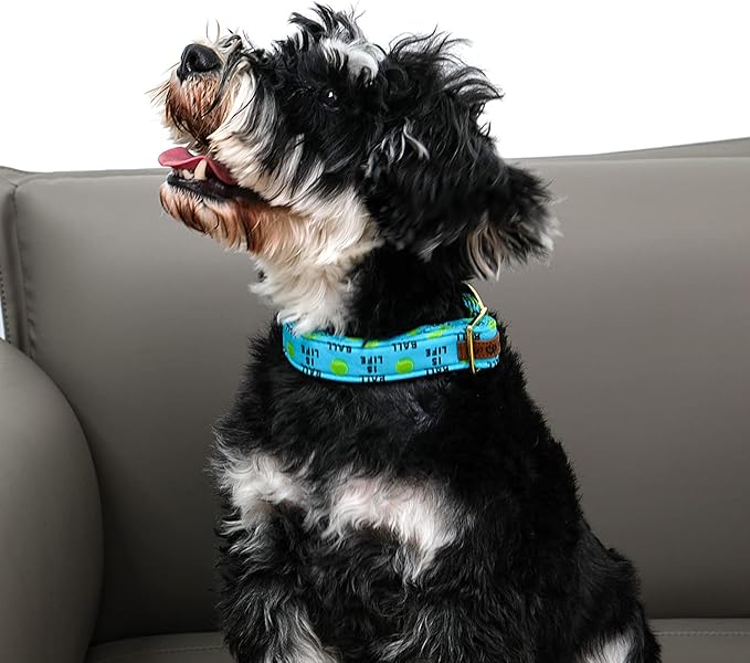 Lionet Paws Dog Collar, Comfortable Adjustable Cute Collar with Metal Buckle for Male Female Dogs Gift, Tennis Ball Pattern, Medium, Neck 13.5-22 inches