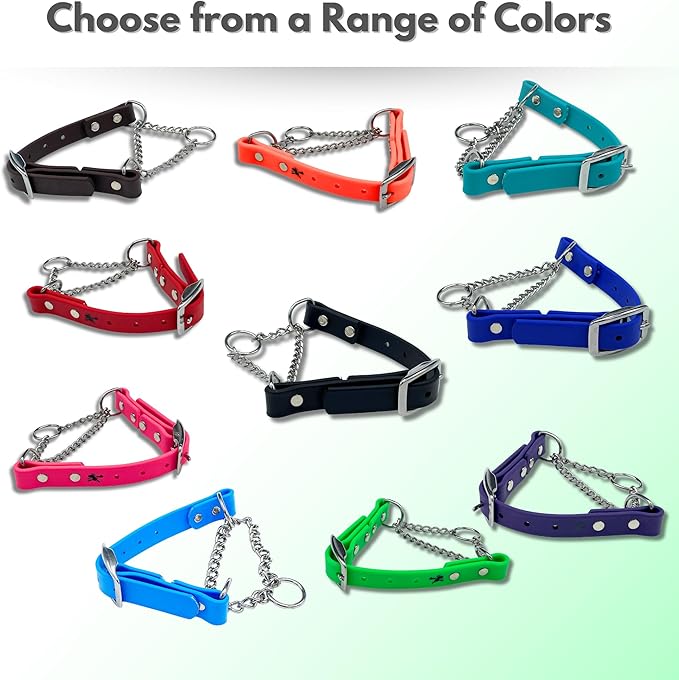 Martingale Collar for Dogs, Biothane, Stainless Steel Hardware, No Pull, Made in The USA, Professional Grade, Large, Green