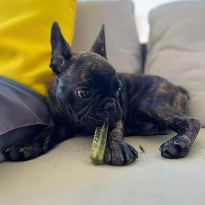 Pupford Dental Chews for Dogs | Freshens Breath, Scrapes Plaque, Safe for Gut | Healthy, Limited Ingredient, All Natural |Yummy & Made in USA | Free Training Resources | 14 Count