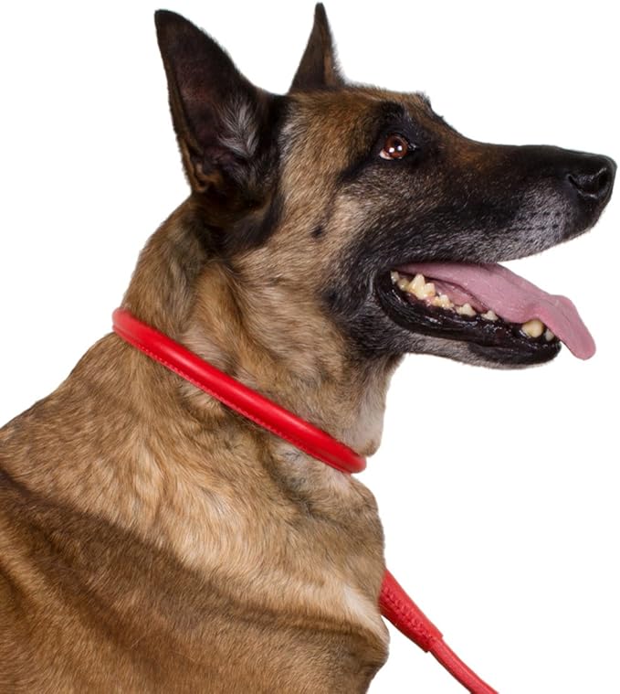 CollarDirect Rolled Leather Dog Collar, Soft Padded Round Puppy Collar, Handmade Genuine Leather Collar Dog Small Large Cat Collars 13 Colors (6-7 Inch, Red Textured)
