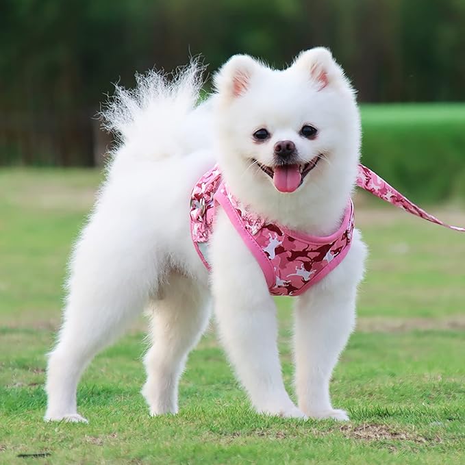 Step in Dog Harness and Leash Set, Reflective Adjustable Dog Vest Harness No Pull Puppy Harnesses for Small Dogs and Cats (S, Pink)
