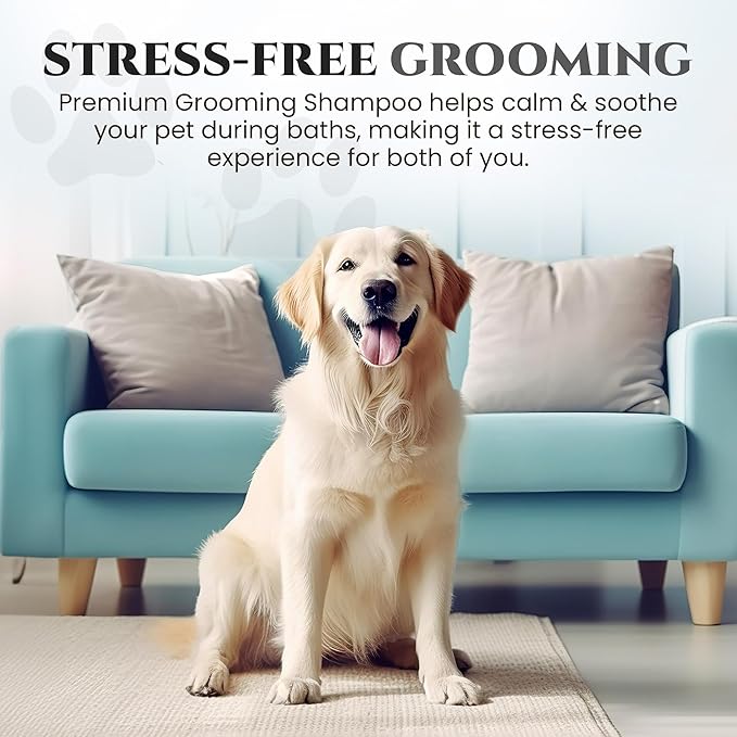 605Products Premium Dog Shampoo - Gentle Formula for Itchy & Sensitive Skin, Odor Eliminator for Puppies, Natural Deodorizer for Pets (10oz)- Show Dog