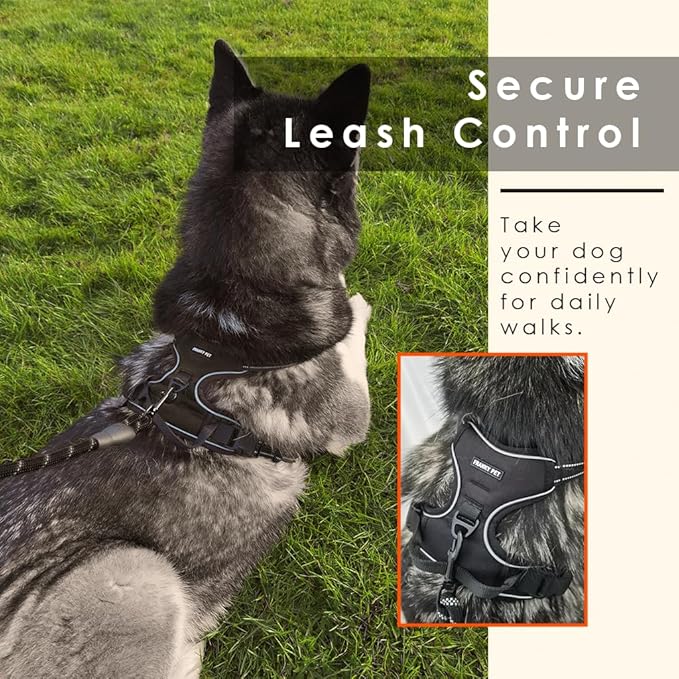 Dog Harness and Leash Duo, No Pull Vest Harness with 5 Ft Leash, Soft padded Vest, No-Choke Oxford Pet Harness, Easy Control Handle and Adjustable Pet Harness (Rose Red, Large)
