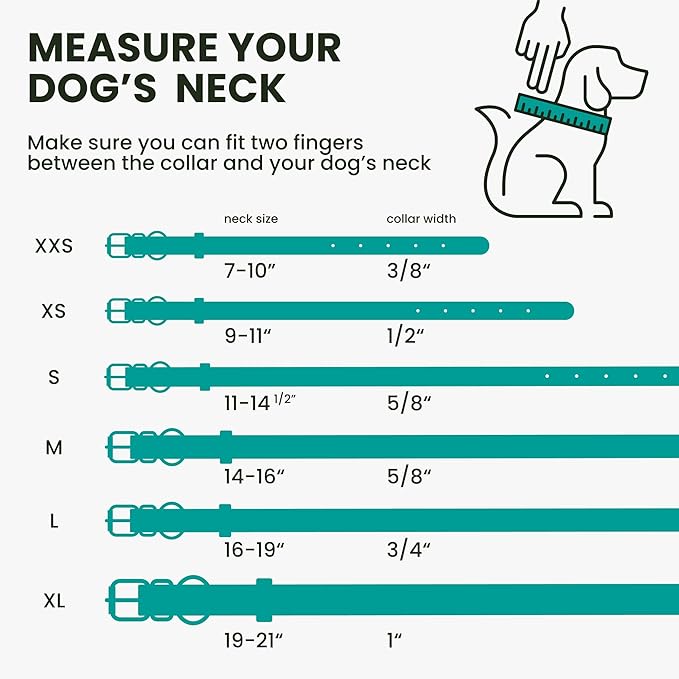 BRONZEDOG Rolled Leather Dog Collar with QR ID Tag Adjustable Soft Round Collars for Small Medium Large Dogs Puppy Cat (16" - 19" Neck Size, Turquoise)