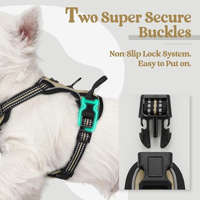 rabbitgoo Dog Harness, No-Pull Pet Harness with 2 Leash Clips, Adjustable Soft Padded Dog Vest, Reflective No-Choke Pet Oxford Vest with Easy Control Handle for Small Dogs, Beige, XS