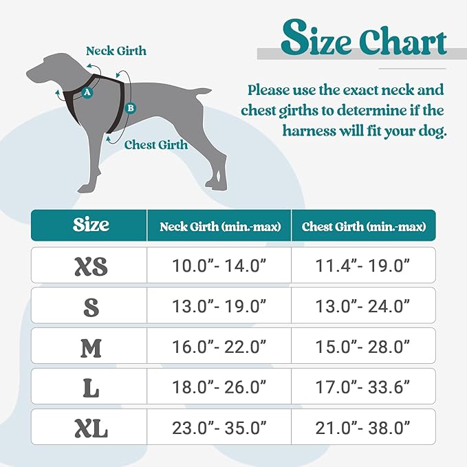 rabbitgoo Dog Harness, No-Pull Pet Harness with 2 Leash Clips, Adjustable Soft Padded Dog Vest, Reflective No-Choke Pet Oxford Vest with Easy Control Handle for Small Dogs, Blue Coral, XS