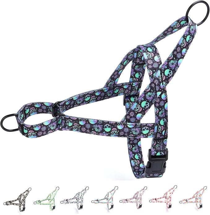 No Pull Dog Harness for Small, Medium, and Large Pets - Floral Pattern Nylon Safety Training Dog Harness (L, Skull)