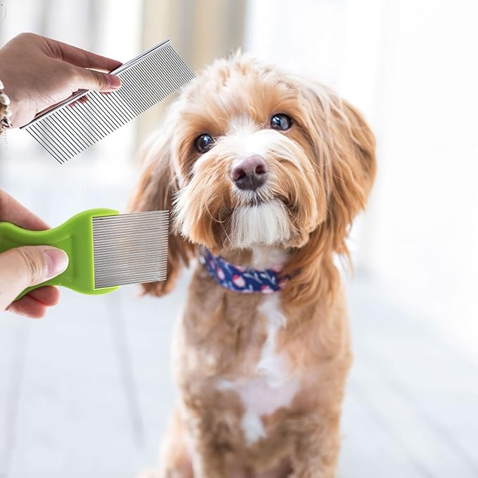 Tear Stain Remover Combs for Pets - Stainless Steel Eye Brush Tools, Durable Flea and Lice Removing Set with Teeth Grooming, 5 Types for Dogs, Cats, Puppies