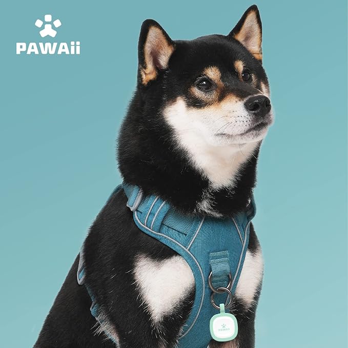 Pawaii Dog Harness for Small Dogs, Dog Harness with Pet ID Tag, No Choke Dog Harness, Adjustable Soft Padded Pet Vest with Easy Control Handle
