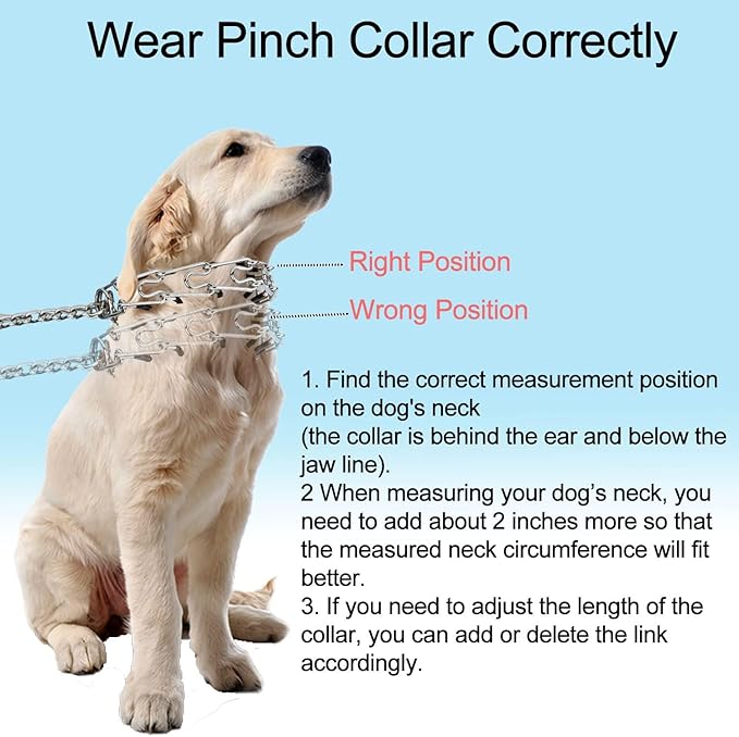 Darkyazi Durable Pinch Collar Stainless Steel Dog Adjustable Pet Training Collar for Medium Large Dogs (Large (2 Pack), Silver)