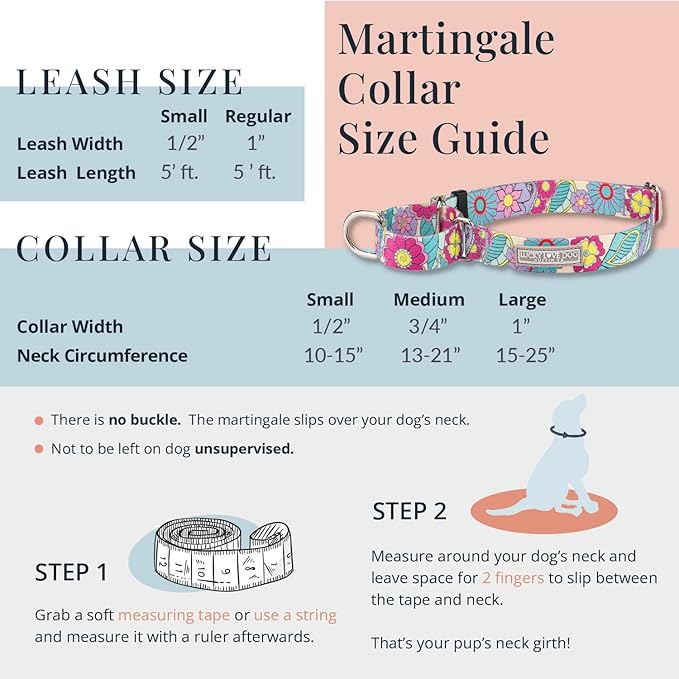 Lucky Love Dog Martingale Collar and Leash Set, Premium No Slip Collar for Small Dogs, Flower Martingale Collar for Girl Dogs, Great for Whippets, Greyhounds, and More (Primrose, Small - Combo)