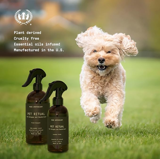 Muse Apothecary Pet Ritual Pet Cologne Spray for Dogs - Dog Perfume Spray Long Lasting After Bath - Pet Perfume for Dogs - Essential Oils Infused - 8oz, Fresh Bouquet