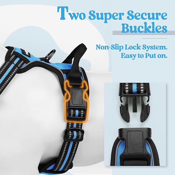 rabbitgoo Dog Harness, No-Pull Pet Harness with 2 Leash Clips, Adjustable Soft Padded Dog Vest, Reflective No-Choke Pet Oxford Vest with Easy Control Handle for Small Dogs, Blue, S
