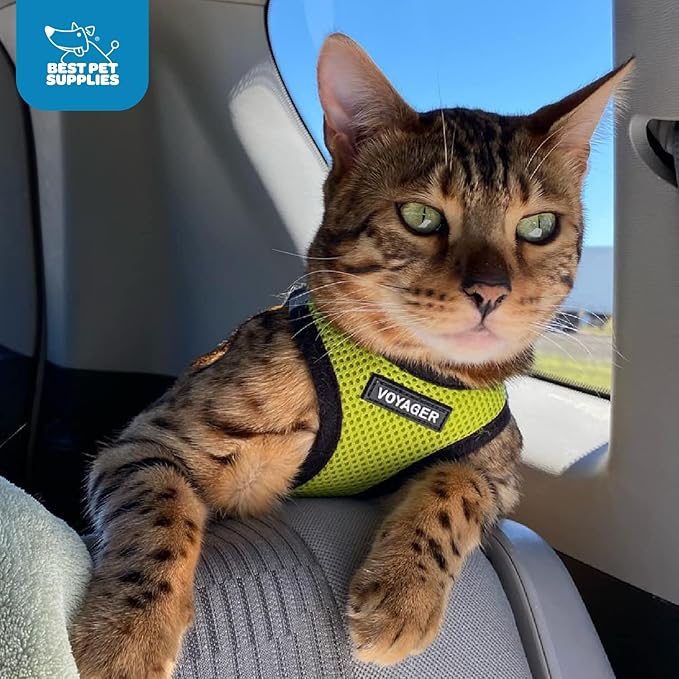 Voyager Step-in Air Dog Harness - All Weather Mesh, Reflective, No Pull Harness for Small, Medium Dogs, Cats - Secure with Hook & Loop Fastener, Buckle, Double D-Rings - Lime Green/Black Trim, XXS